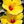 Avatar for Jannineh23